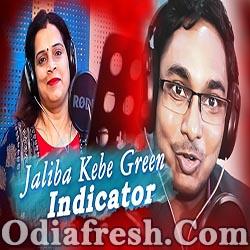 Jaliba kebe Green Indicator - Odia New Masti Song (Malay Ranjan, Nishi Nanda)